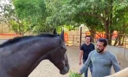 घुड़सवारी और नाश्ता मेरे प्यार के साथ : सलमान खान घुड़सवारी और नाश्ता मेरे प्यार के साथ : सलमान खान