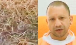 किसान सम्मान निधि को अब बढ़ाने की जरूरत किसान सम्मान निधि को अब बढ़ाने की जरूरत