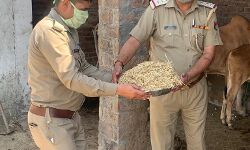 शामली कोतवाल प्रेमवीर ने गौशाला में 25 कुंतल भूसा कराया उपलब्ध शामली कोतवाल प्रेमवीर ने गौशाला में 25 कुंतल भूसा कराया उपलब्ध