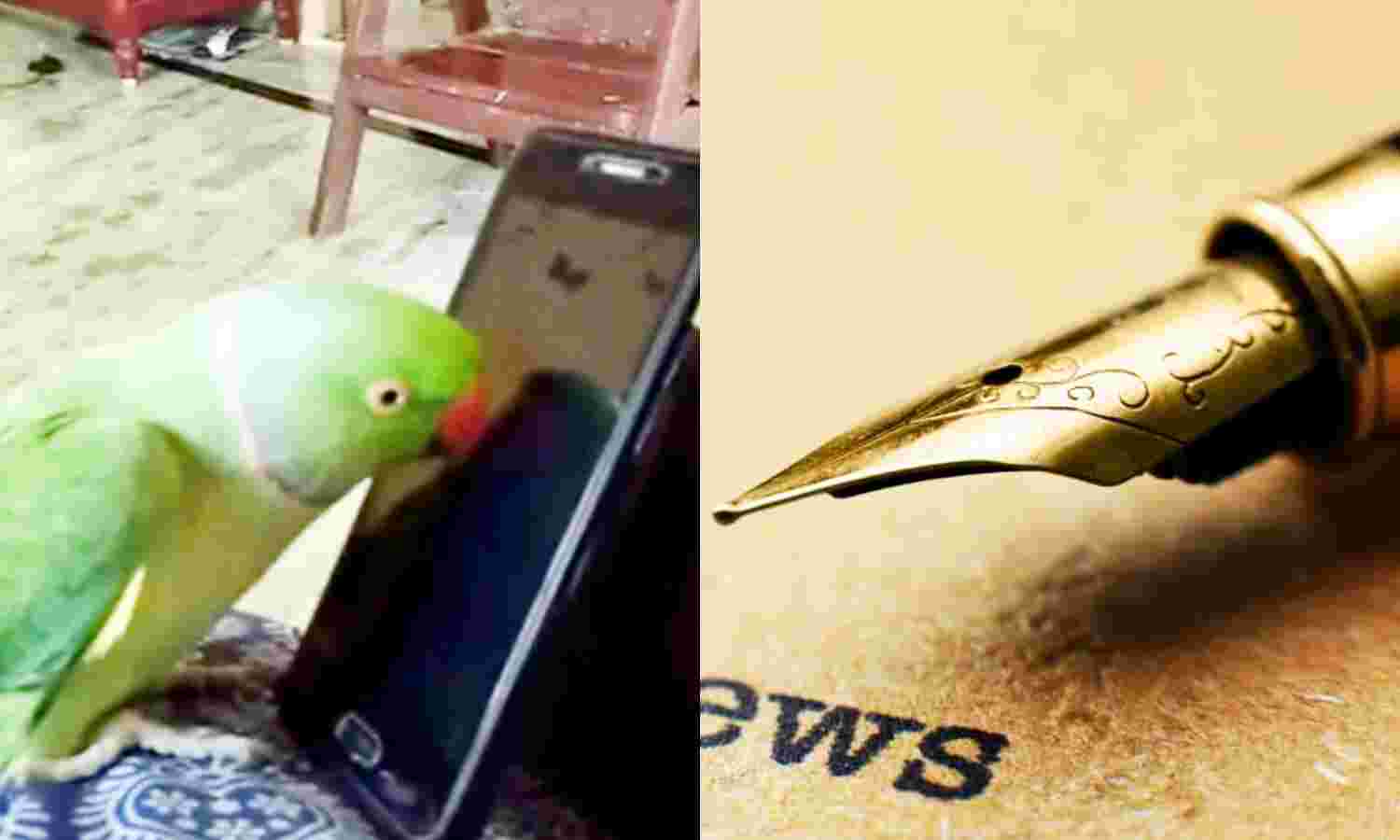 अधूरे पोपट पत्रकारों पर एसएसपी अभिषेक यादव का प्रहार