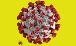 विश्व में कोरोना से 67.59 लाख लोग संक्रमित, 3.95 लाख की मौत