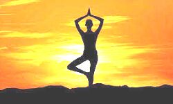 अंतर्राष्ट्रीय योग दिवस 2020 का पूर्वावलोकन देखें कब से होगा को डीडी न्यूज पर प्रसारित