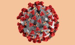 लखनऊ में सामुदायिक संक्रमण नहीं, पूल टेस्टिंग से आया राहत भरा नतीजा लखनऊ में सामुदायिक संक्रमण नहीं, पूल टेस्टिंग से आया राहत भरा नतीजा