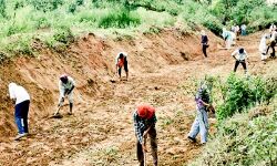 Lock Down की मार, Educated Youth मनरेगा में खोज रहे काम