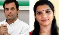 राहुल गांधी के वायनाड चुनाव को रद्द करने की मांग, सुप्रीम कोर्ट दो हफ्ते बाद करेगा सुनवाई