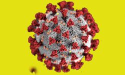 कोरोना संक्रमण का स्तर जानने के लिए आज से चलेगा प्रदेशस्तरीय सैंपल कलेक्शन अभियान कोरोना संक्रमण का स्तर जानने के लिए आज से चलेगा प्रदेशस्तरीय सैंपल कलेक्शन अभियान