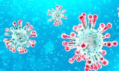 24 घंटों में जानें कोविड-19 के कितने मरीज हुए स्वस्थ 24 घंटों में जानें कोविड-19 के कितने मरीज हुए स्वस्थ