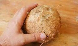 नारियल के मिनिमम समर्थन मूल्य में बढ़त से नारियल की खरीद होगी सुगम