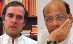 राहुल गांधी को कब तक बचाएंगे शरद पवार