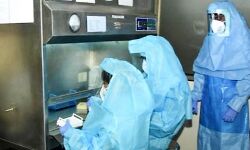 भारत विश्वभर में एक्सपोर्ट के लिए तैयार, करेगा यह चीज एक्सपोर्ट भारत विश्वभर में एक्सपोर्ट के लिए तैयार, करेगा यह चीज एक्सपोर्ट