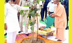 यूपी आज पौधारोपण का बनाएगा रेकार्ड, सीएम योगी ने की शुरुआत यूपी आज पौधारोपण का बनाएगा रेकार्ड, सीएम योगी ने की शुरुआत