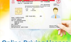 ड्राइविंग लाइसेंस के लिए आवेदन आज से, जारी हुआ नया टोल फ्री नंबर ड्राइविंग लाइसेंस के लिए आवेदन आज से, जारी हुआ नया टोल फ्री नंबर