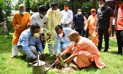 पौधारोपण: योगी से अन्य राज्य भी लें सबक पौधारोपण: योगी से अन्य राज्य भी लें सबक