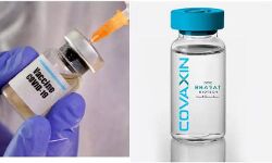 भारत में कोरोना वैक्सीन का ट्रायल शुरू भारत में कोरोना वैक्सीन का ट्रायल शुरू