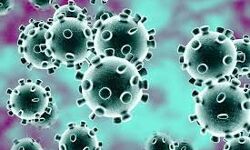 अब एक इलाके में 10 कंटेनमेंट जोन बनने पर होगा लॉकडाउन