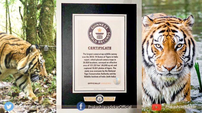 भारत के लिए महान क्षण,बाघों की गणना में बनाया गिनीज वर्ल्ड रिकॉर्ड : जावड़ेकर