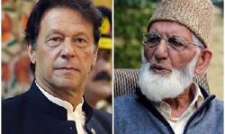 पाक द्वारा गिलानी का महिमा मंडन, पलटवार करेगा भारत? पाक द्वारा गिलानी का महिमा मंडन, पलटवार करेगा भारत?