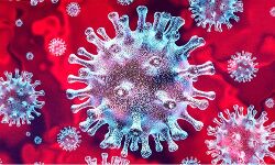 कोरोना संक्रमितों के लिए संजीवनी बन रही है मशीन