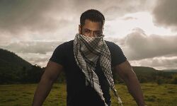 सलमान फिर बनेंगे टाइगर सलमान फिर बनेंगे टाइगर