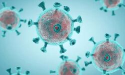 भारत में पिछले 24 घंटों में 57,381 रोगी हुए ठीक