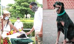 365 केस सुलझाने वाले पुलिस डाॅग की मौत, महाराष्ट्र पुलिस ने दी आखरी विदाई