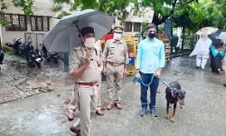 झमाझम बारिश में छाता लगाकर क्षेत्राधिकारी धनंजय सिंह ने कचहरी परिसर की परखी व्यवस्था