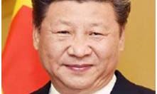 शी जिनपिंग का पार्टी के अंदर विरोध शी जिनपिंग का पार्टी के अंदर विरोध