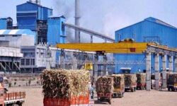 सरकार चीनी मिलों और गुड़ आधारित भट्टियों को कर रही प्रोत्साहित सरकार चीनी मिलों और गुड़ आधारित भट्टियों को कर रही प्रोत्साहित