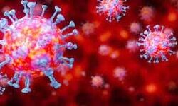 कोरोना ने बनाया मुजफ्फरगनर में कीर्तिमान- जानें कितने और कहाॅ मिले संक्रमित कोरोना ने बनाया मुजफ्फरगनर में कीर्तिमान- जानें कितने और कहाॅ मिले संक्रमित