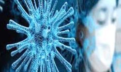 भारत में कोरोना संक्रमण के सक्रिय मामलों में से 3.5 गुना हुए स्वस्थ