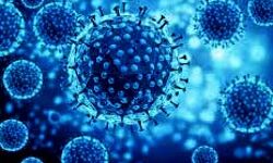 कोरोना से देश में 25 लाख लोग हुए स्वस्थ देखें कितने केश है एक्टिव कोरोना से देश में 25 लाख लोग हुए स्वस्थ देखें कितने केश है एक्टिव