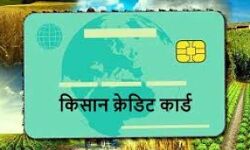 उ.प्र. के एक लाख मत्स्य पालकों को मिलेगी किसान क्रेडिट कार्ड की सुविधा, सभी जनपदों का लक्ष्य निर्ध उ.प्र. के एक लाख मत्स्य पालकों को मिलेगी किसान क्रेडिट कार्ड की सुविधा, सभी जनपदों का लक्ष्य निर्ध