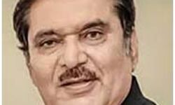 दूध का धुला तो कोई नहीं: रजा मुराद