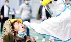 तेज वृद्धि के साथ भारत में हुई 4.23 करोड़ से अधिक कोरोना जांच तेज वृद्धि के साथ भारत में हुई 4.23 करोड़ से अधिक कोरोना जांच