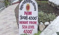 निम ने एक और उपलब्धि की हासिल निम ने एक और उपलब्धि की हासिल