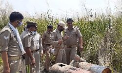 आबकारी विभाग की खादर में छापेमारी - हजारों लीटर तैयार लहन और कच्ची शराब की नष्ट आबकारी विभाग की खादर में छापेमारी - हजारों लीटर तैयार लहन और कच्ची शराब की नष्ट