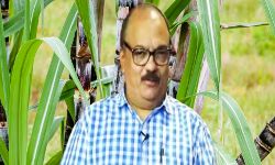 चीनी मिलों एवं विभागीय कार्यालयों को Covid-19 के प्रोटोकॉल का पालन करना जरूरी : भूसरेड्डी चीनी मिलों एवं विभागीय कार्यालयों को Covid-19 के प्रोटोकॉल का पालन करना जरूरी : भूसरेड्डी