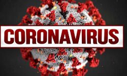 विश्व में कोरोना से 2.86 करोड़ संक्रमित, 9.19 लाख की मौत