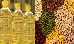 खाद्य तेल, दालों में मिश्रित रुख, चना मजबूत