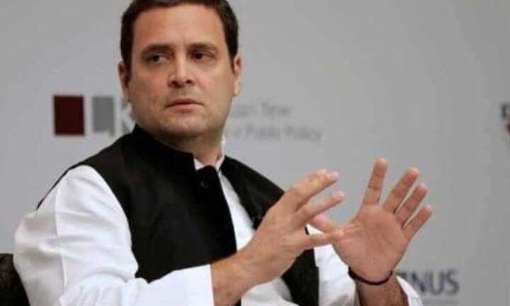 अपनी जान ख़ुद ही बचा लीजिए- PM मोदी अभी मोर के साथ व्यस्त हैं: राहुल गांधी अपनी जान ख़ुद ही बचा लीजिए- PM मोदी अभी मोर के साथ व्यस्त हैं: राहुल गांधी