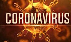 कोरोना से पंजाब में 70 लोगों की मौत कोरोना से पंजाब में 70 लोगों की मौत