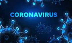 जम्मू-कश्मीर में कोरोना मामले 56 हजार के पार जम्मू-कश्मीर में कोरोना मामले 56 हजार के पार
