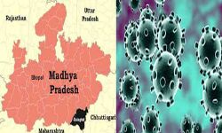 इंदौर में कोरोना के रिकार्ड 393 नए मामले इंदौर में कोरोना के रिकार्ड 393 नए मामले