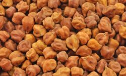 2 किलो चने सहित ऐसे मिलेगा कार्डधारकों को राशन