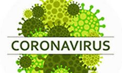 देश में कोविड-19 के मामले 54 लाख से अधिक- जाने किस राज्य में कितने