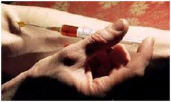 Drugs का बढ़ता साम्राज्य Drugs का बढ़ता साम्राज्य