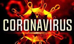 देश के 10 राज्यों के हैं 74 प्रतिशत कोरोना संक्रमण मुक्त मरीज देश के 10 राज्यों के हैं 74 प्रतिशत कोरोना संक्रमण मुक्त मरीज