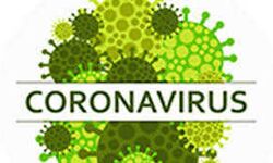 देशभर में कोरोना टेस्ट लैब की संख्या  बढ़ी