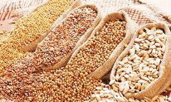 गेहूं में गिरावट के साथ तेल, दालों, चीनी के दाम स्थिर