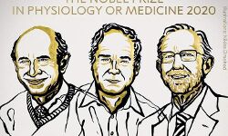 हेपेटाइटिस के इलाज में बड़ी खोज करने वाले तीन वैज्ञानिकों को नोबेल पुरस्कार